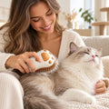 FLUFFOW – Steam Paw Brush