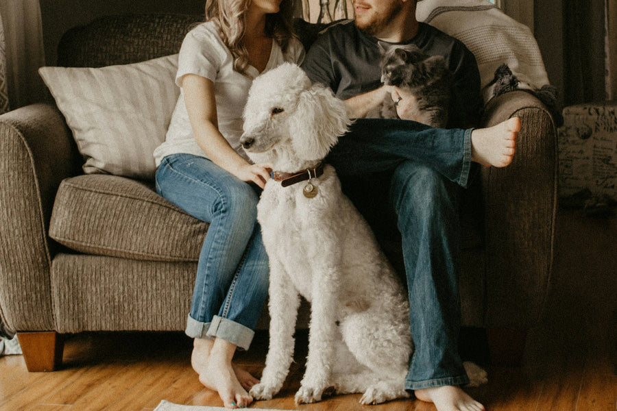 The whole family